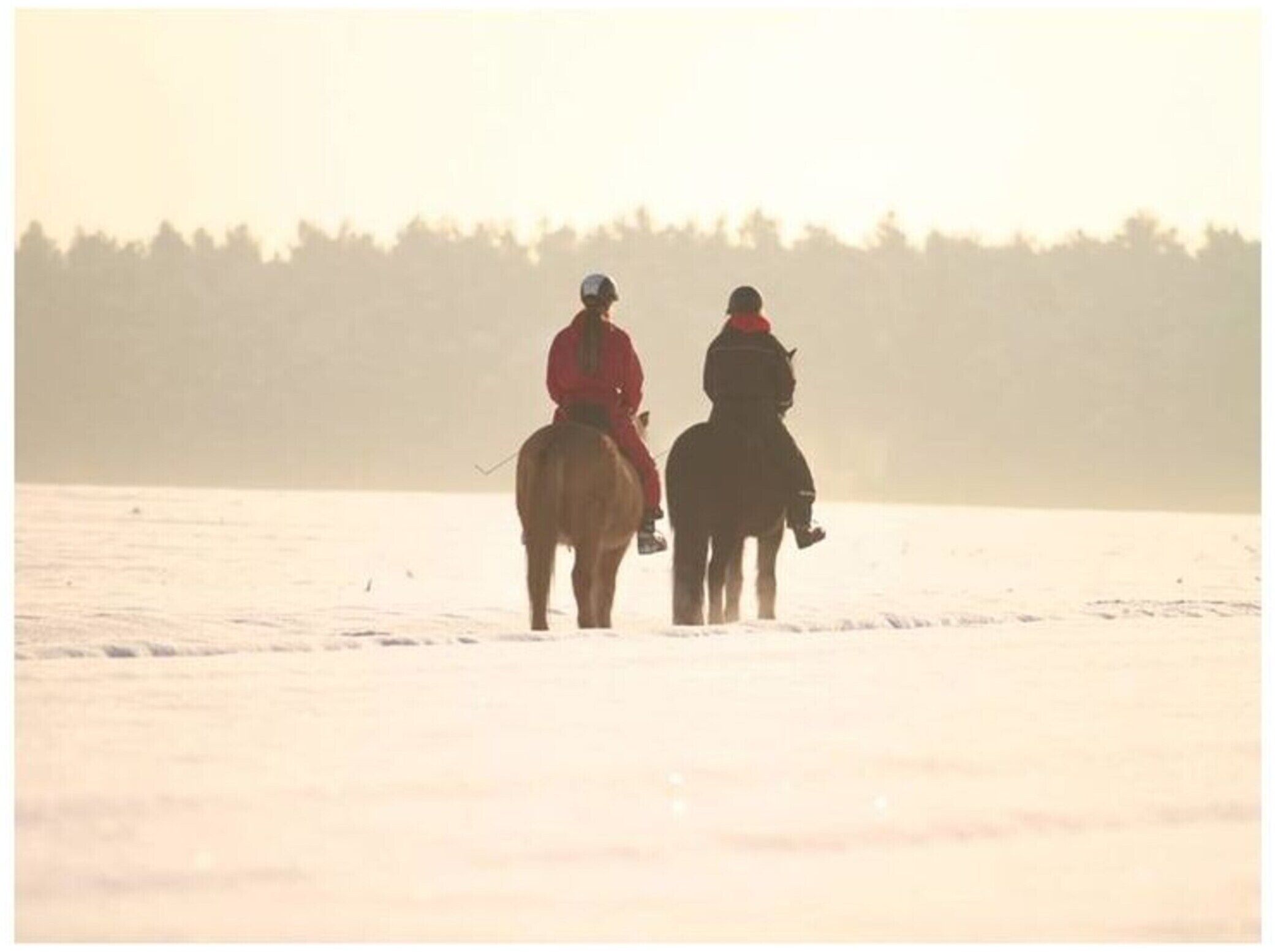 Two people riding horses on a snowy field.