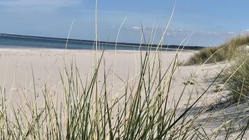 House | View from property