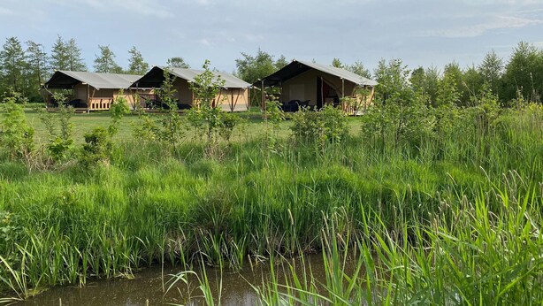 A row of rustic cabins with open porches, surrounded by lush greenery and a small body of water. - Waterfront Glamping Escape (De Veenhoop)