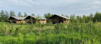 Glamping Tent in Friesland by Nature Reserve