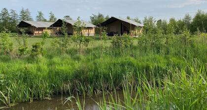 Glamping Tent in Friesland by Nature Reserve