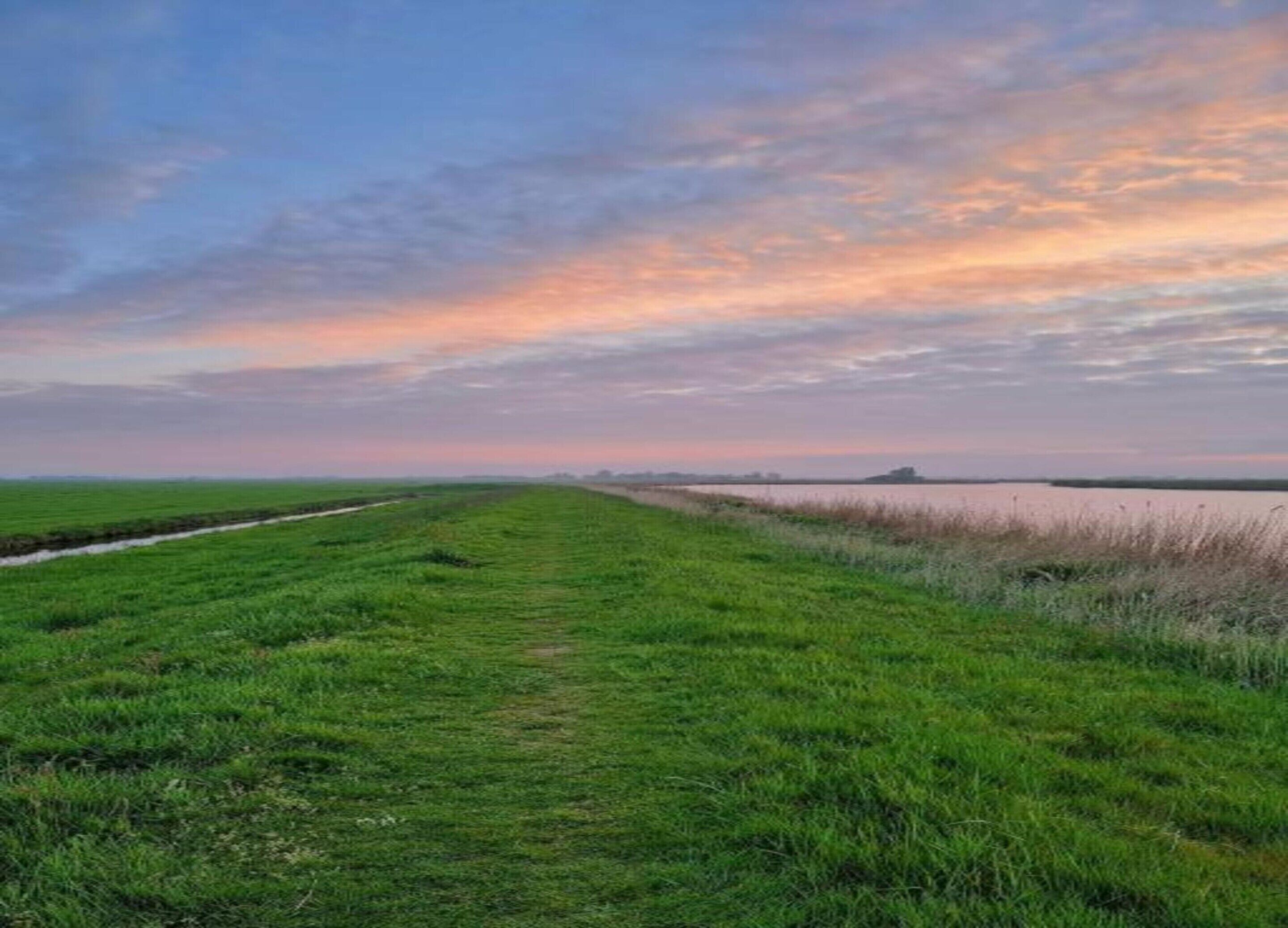 Tasainen maisema, jossa on vesialue, joka kulkee rinnakkain ruohikkoisen polun kanssa.