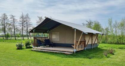 Glamping Tent in Friesland by Nature Reserve