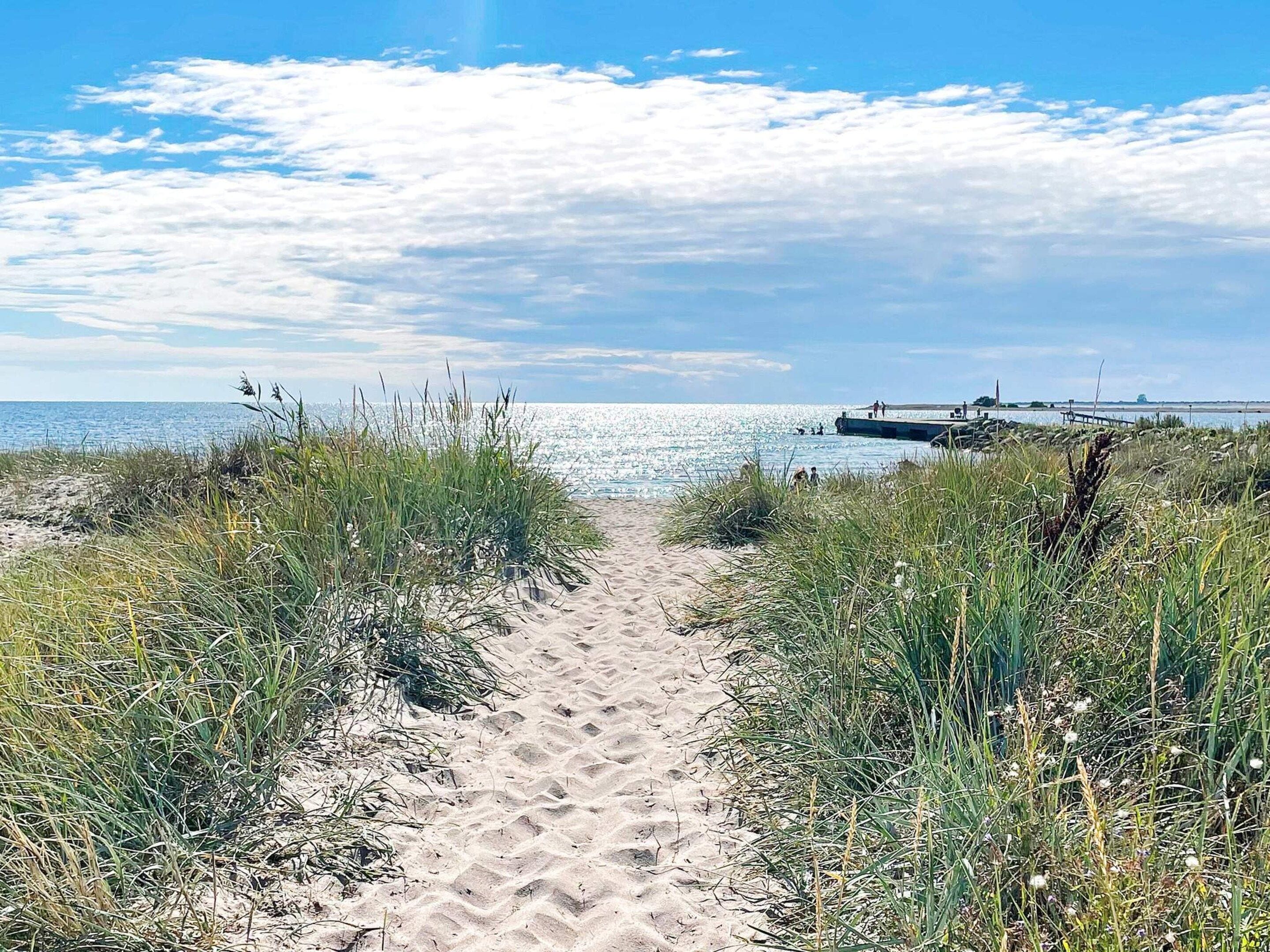 A sandy beach path leading to the ocean with grassy vegetation on either side.