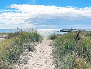 Un sentier de sable qui longe la plage et mène à l’océan, avec une végétation herbeuse de chaque côté.