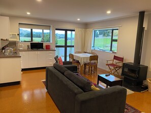 TV, fireplace, books, stereo