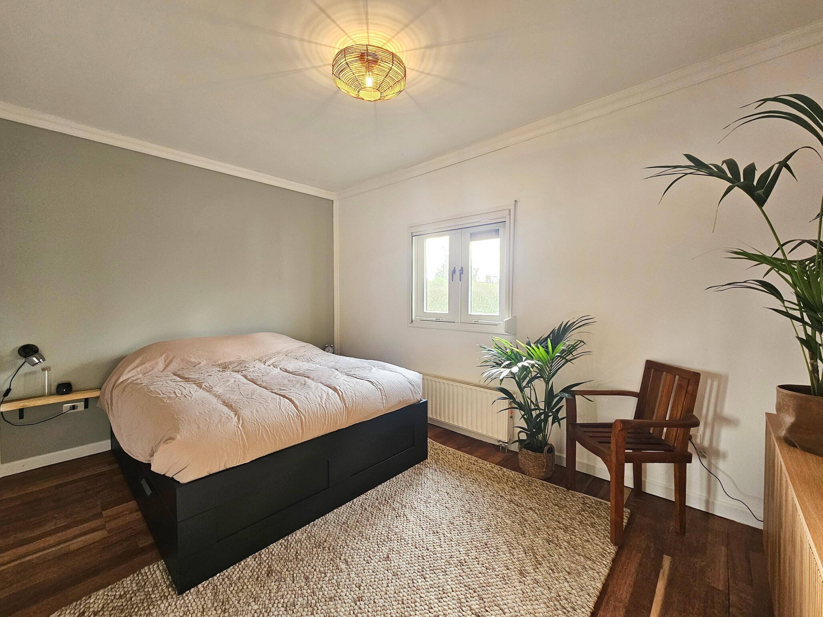A bedroom with a bed, a chair, a potted plant, a window, and a ceiling light fixture.