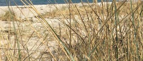 Huis | 2 slaapkamers, individueel gemeubileerd