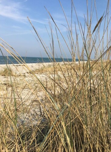 Lillehus Modern Retreat