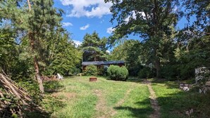 A house surrounded by a wooded area with a clear path leading to the entrance. - Holiday Home Werder/havel (Werder (Havel))