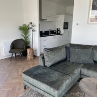Una sala de estar moderna con un sofá gris, una pequeña mesita de madera, una planta en maceta y una silla.