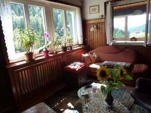 Living area - Seegerhaus Comfortable Holiday Residence (Seebach)