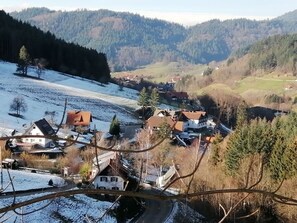 2 bedrooms, iron/ironing board, individually furnished - Seegerhaus Comfortable Holiday Residence (Seebach)