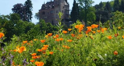 Seegerhaus Comfortable Holiday Residence