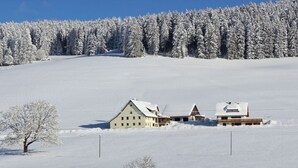 A snow-covered landscape with a row of buildings, likely a hotel or lodge, with a clear sky above. - Forgetful the big one (Titisee-Neustadt)