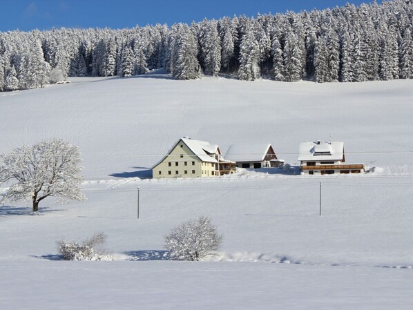 Esterni