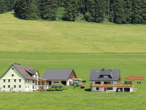 Exterior - Forgetful the big one (Titisee-Neustadt)