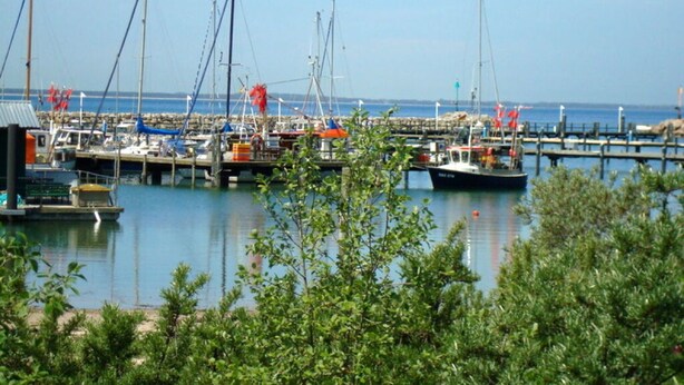A marina with boats docked, a pier extending into the water, and greenery in the foreground. - Haus Kranich Modern Retreat (Glowe)