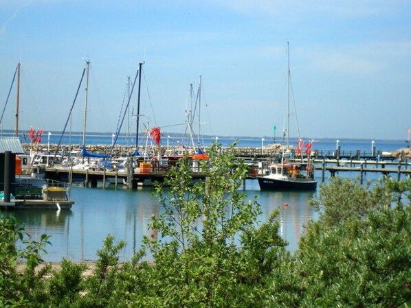 Marina - Haus Kranich Modern Retreat (Glowe)