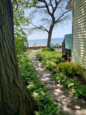 A stone pathway leading to a beach, surrounded by lush greenery and a large tree. - Waterfront cottage on the shores of Lake Erie. Beautiful lake front views! (Angola)