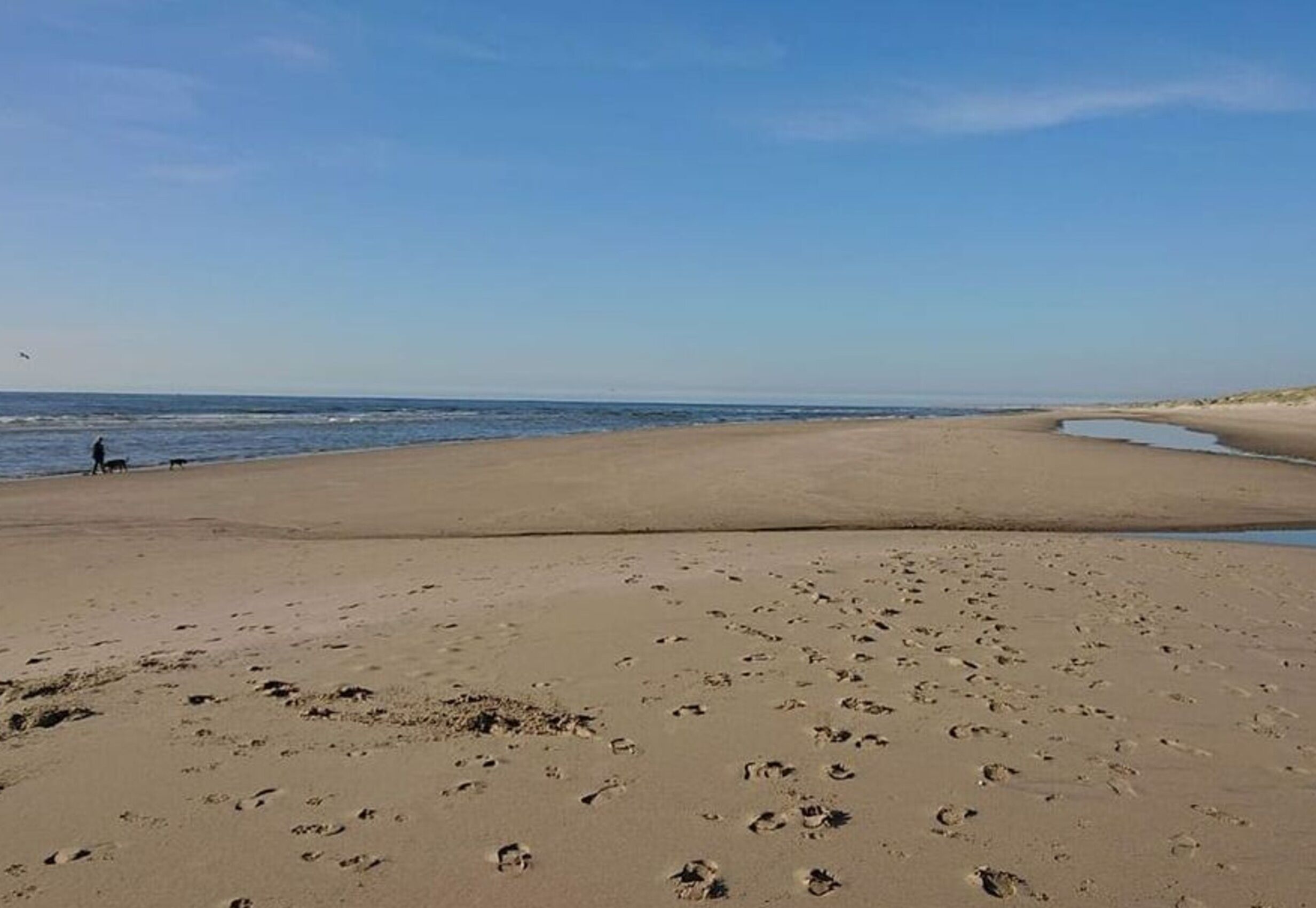 Une vaste plage de sable où l’on peut voir des empreintes de pas qui mènent jusqu’à l’eau.