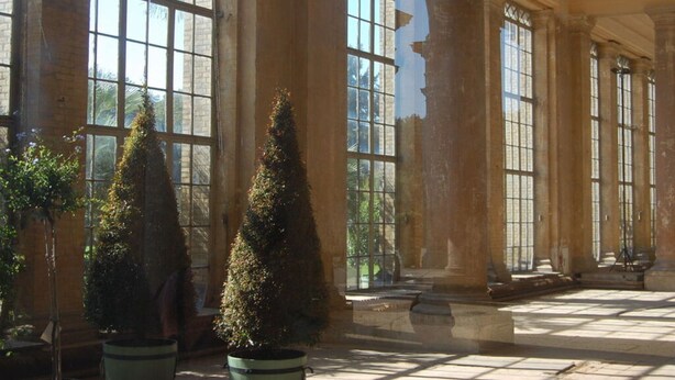 Un ambiente spazioso caratterizzato da ampie finestre, colonne e piante in vaso.