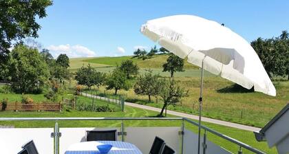 Beech Modern Retreat