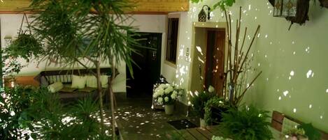 A cozy indoor garden with a wooden bench, a sofa, and various plants.