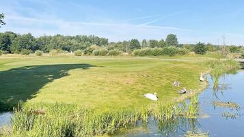 Hus | Golf