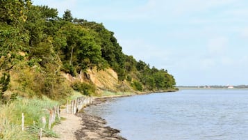 A coastal landscape with a sandy beach, a wooden fence, and a forested cliff.