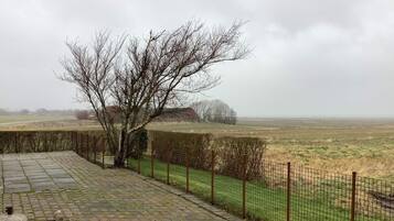 A paved outdoor area with a metal fence and a tree.