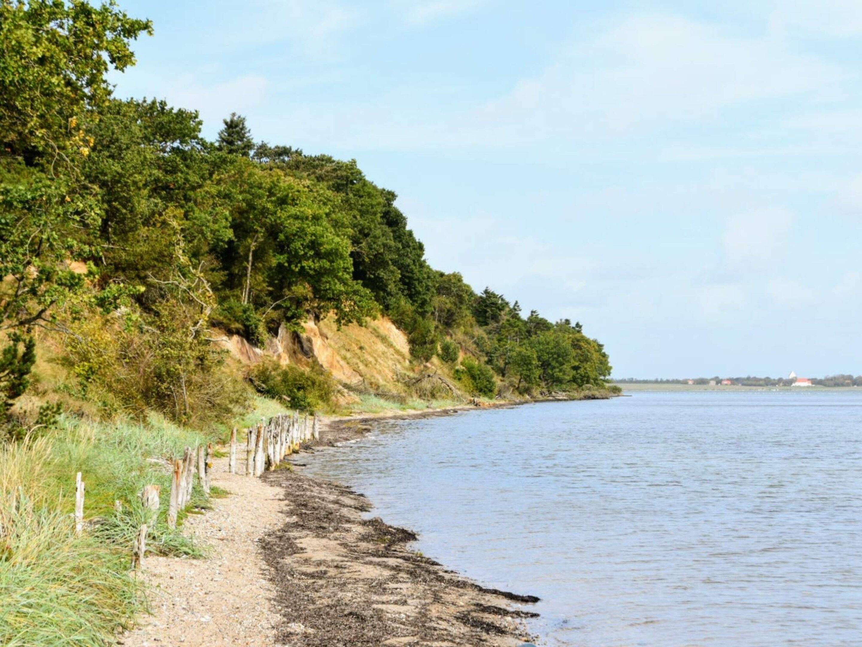 Un paisaje costero con playa arenosa, una cerca de madera y un acantilado cubierto de bosque.