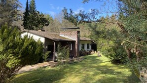 Una cabaña rústica con chimenea de ladrillo, rodeada de densos pinos y un césped cuidado.