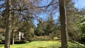 Un espacio al aire libre con césped, árboles y un edificio al fondo.