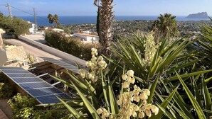 A residential area with solar panels, a palm tree, and a view of the sea and distant buildings. - Villa Miraflores Comfortable Holiday Residence (Teulada)