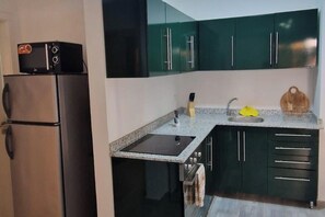 Frigorífico, microondas, horno y placa de cocina