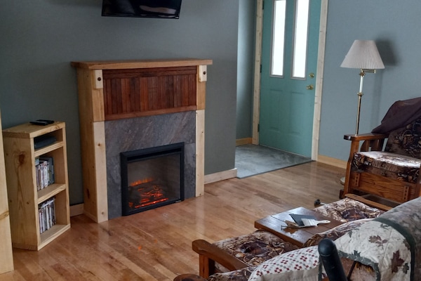 Televisión, chimenea, reproductor de DVD y libros