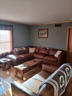 TV, fireplace, DVD player, books - Boyne City Deer Lake views Boyne Mountain  (Boyne City)