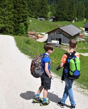 Terrain de sport
