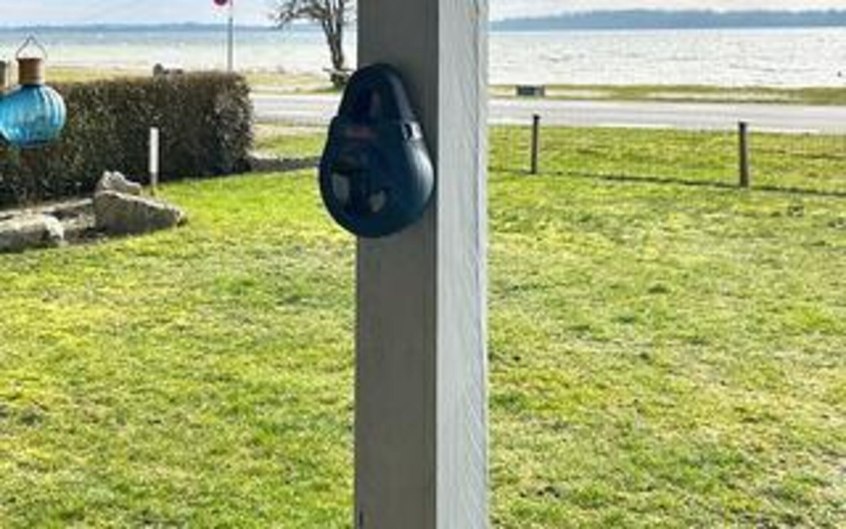 A grassy area with a blue object on a pole, a hedge, and a body of water in the background.