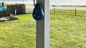 Un'area erbosa con un oggetto blu su un palo, un siepe e una distesa d'acqua sullo sfondo.