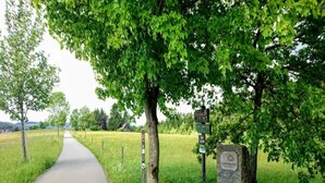 Ein ländlicher Pfad mit Wegweiser und Steinmarkierung.