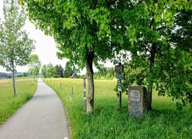 Vista desde la propiedad