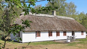 A traditional thatched-roof house with white walls and red-framed windows, situated in a grassy area with trees in the background.