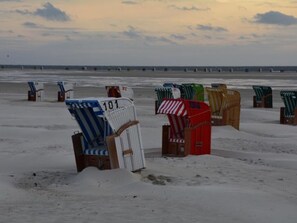 Beach chairs with numbers on them, arranged on the sand. - Holiday Apartment Oland (Nebel)