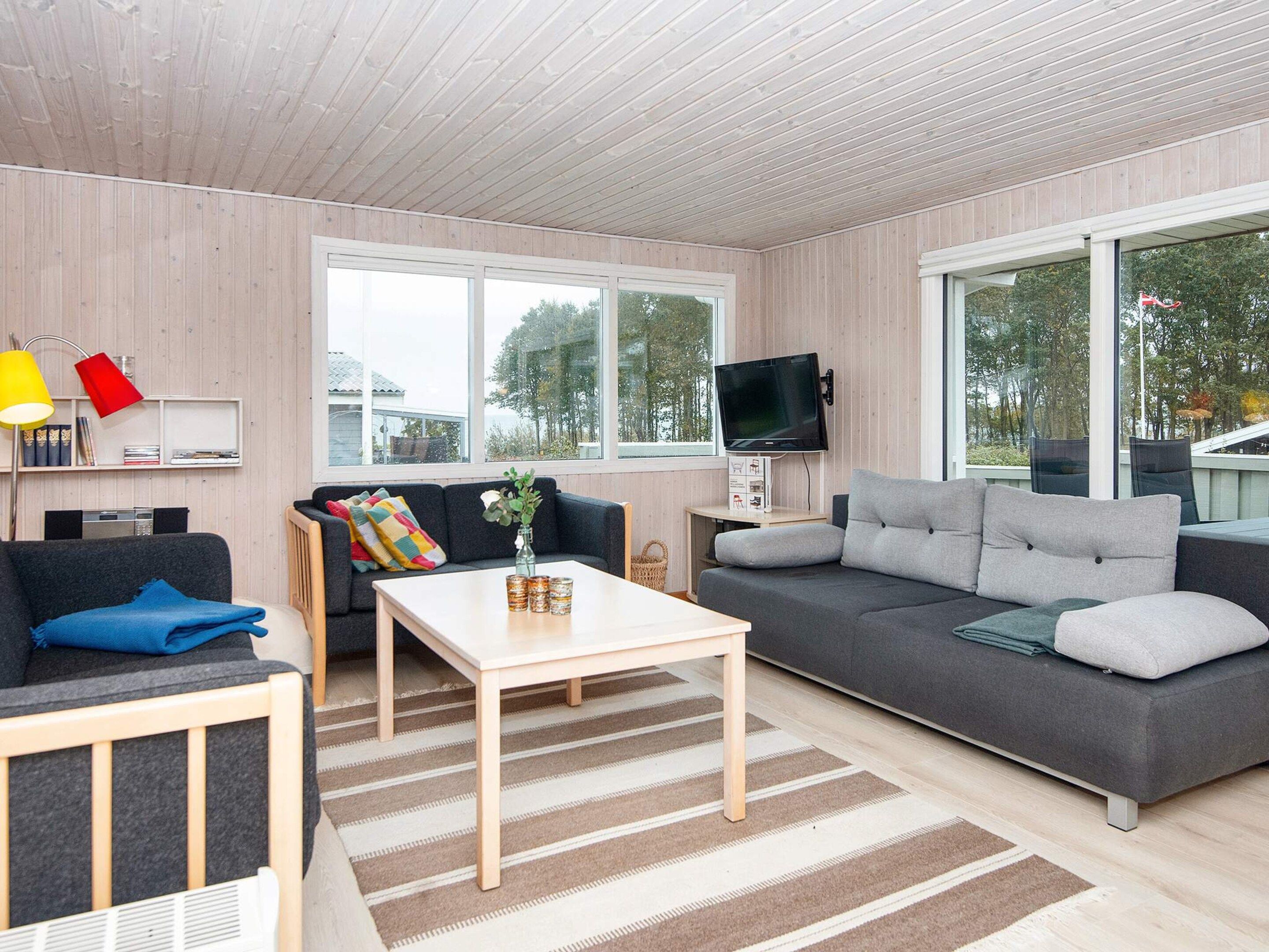 A modern living room with a sofa, a coffee table, and a television.