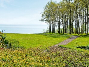 House | Property grounds