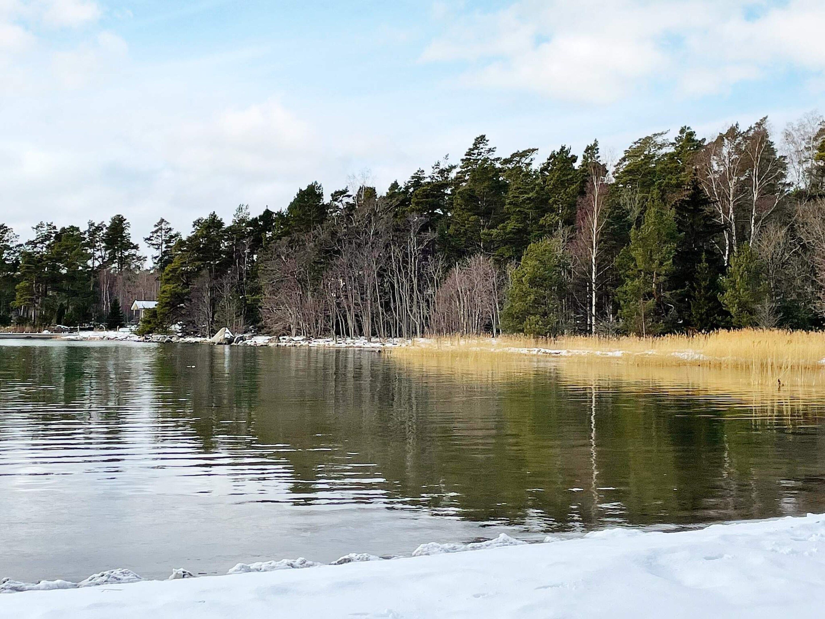 A tranquil lake surrounded by dense trees and a snow-covered shore.