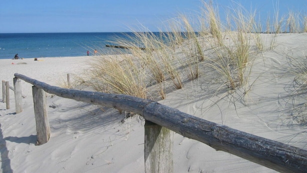 A sandy beach with a wooden fence and tall grass. - Holiday Home Der Schwelmer (Zingst)
