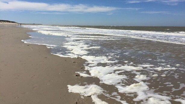 Una playa con olas rompiendo suavemente en la orilla, cielo despejado y una costa distante.